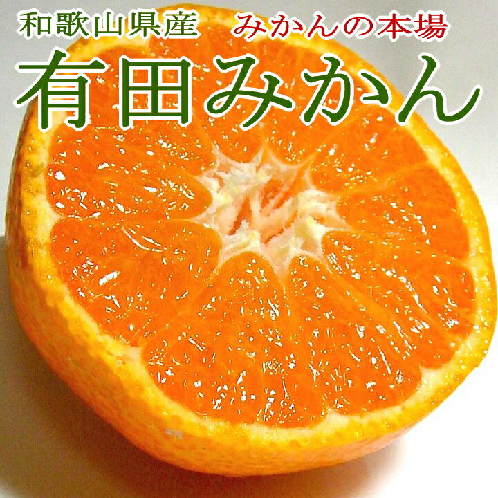 【送料無料】和歌山産 訳あり 有田みかん(ありだみかん)小粒サイズ（2S〜3S）約2kg 28〜30個前後入り　※少し外観にキズがありますがお味には影響ありません|アウトレット ありたみかん 蜜柑