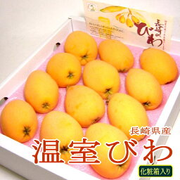 長崎産 温室びわ（茂木ビワ）Lサイズ 12個入り化粧箱 ご贈答おすすめ果物です 【有機栽培採用】|ながさき 枇杷 プレゼント ギフト 母の日