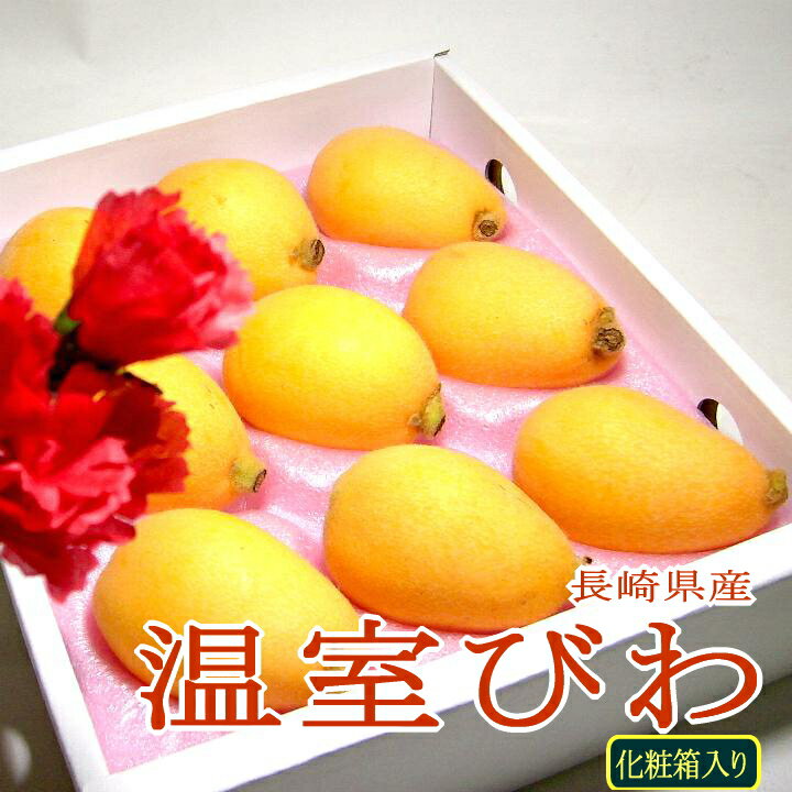 長崎産 高級温室びわ（茂木ビワ）2Lサイズ 大玉 9個入り化粧箱 ご贈答おすすめ果物です|枇杷 茂木びわのサムネイル