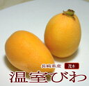 全国お取り寄せグルメ長崎食品全体No.211