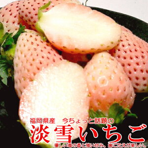 【白いいちご】白くてSNS映えしそうな美味しい苺のおすすめは？