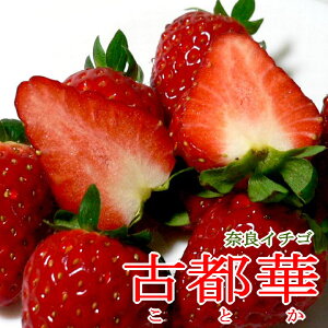 奈良産 古都華イチゴ（ことかいちご）小粒 Mサイズ（20粒/1パック）2パック入り箱|高級苺