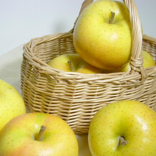 青森産 トキリンゴ 約5kg 大玉 14〜16個入り|アップル 林檎 りんご 10キロ ときりんご 黄色いリンゴ 青森りんごのサムネイル