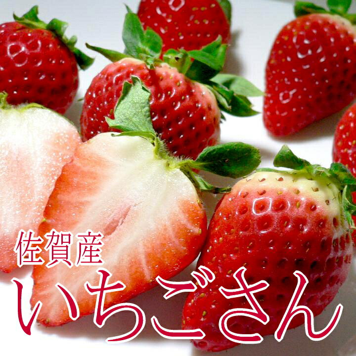 苺 いちごさん 3Lサイズ 2パック入り 佐賀産 ※お届け日はご指定いただけません。|さが イチゴ 大玉 苺 いちご ストロベリー 佐賀いちご お取り寄せフルーツ お祝い 内祝い クリスマスギフト バレンタイン ホワイトデ− ひな祭りギフト