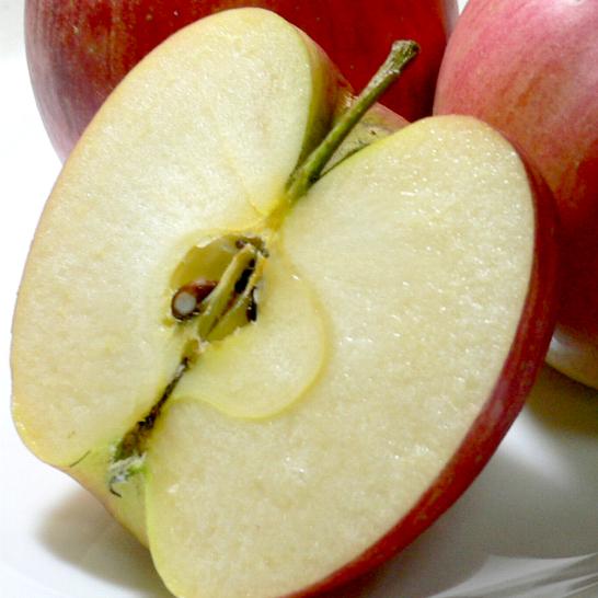 長野産　シナノドルチェりんご 約10kg 小玉 46〜50個入り|リンゴ アップル 林檎