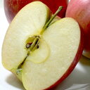 長野産 シナノドルチェりんご 約10kg 中玉 36〜40個入り|信州りんご 林檎 リンゴ アップル