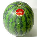 京都産 あみの 砂丘 大玉すいか 4Lサイズ 2個入り 約9キロ/1個|丹後 たんご西瓜 スイカ 赤肉 おおたますいか(4)
