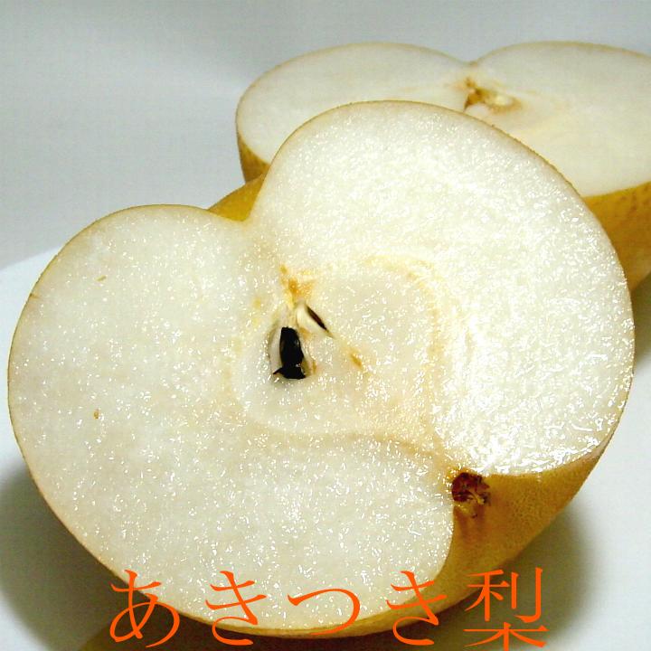 石川産 秋月梨 あきつきなし 約5kg 特大サイズ 10〜12個入り 金沢梨｜大きな梨 和梨 赤梨 あきづき アキヅキナシ 秋 贈り物 ギフトのサムネイル