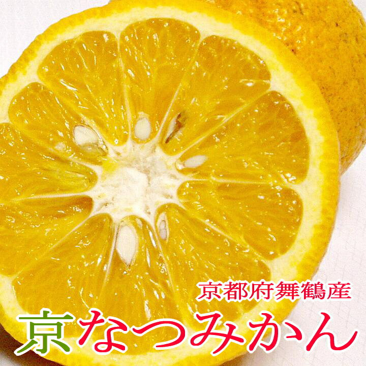 みかん 【送料無料】京都産 京なつみかん Lサイズ 約3kg（9個前後入り）産地直送　無農薬栽培 受注後収穫します鮮度保証※産直品のため同梱はいたしかねます。|ナツミカン 夏みかん 夏ミカン 夏蜜柑