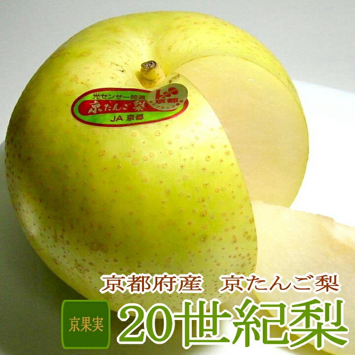 特大サイズ 10〜12個入り 二十世紀梨 約 5kg 京たんご梨 京都産 プレゼント 贈り物 20世紀梨 にじゅっせいきなし 梨 ギフト 20世紀なし なし 贈り物 京都 お取り寄せ 大きい フルーツギフト おいしい 京丹後 梨 京丹後市 5キロ 果物 のし対応