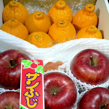 【送料無料】和歌山産 しらぬひ 約1.6kg 8個前後&サンふじリンゴ 中玉5個セット★果物ゼリー付き★|送料込みフルーツ福袋セット お祝い お見舞い お供え フルーツギフト