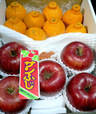 【送料無料】和歌山産 しらぬひ 約1.6kg 8個前後&サンふじリンゴ 中玉5個セット★果物ゼリー付き★|送料込みフルーツ福袋セット お祝い お見舞い お供え フルーツギフト