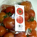 京都産 有機 ミニトマト 約1kg（100個前後入り）有機栽培|プチトマト とまと tomato その1