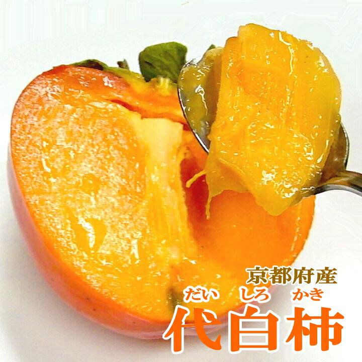 京都名産 代白柿 だいしろかき 大玉 12個入り |江戸柿 柔らかいカキ 代白かき