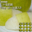 鳥取産 二十世紀梨 にじゅっせいきなし 約10kg 特大 20~24個入り 青梨|和梨 とっとり 20世紀ナシ 二〇世紀 10キロ