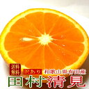 【お試し!送料無料】有田「訳あり」田村清見オレンジ 和歌山産 小玉 S〜2Lサイズ 約2kg(8個〜16個前後入り)|清見タンゴール 小玉 小粒 きよみオレンジ...