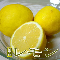 国産 レモン 黄色 大玉 2L〜3Lサイズ 約5kg 愛媛県/和歌山県/広島県/長崎県など｜檸檬 れもん 清涼柑橘 ビタミンC　※希少品のためお届けにお時間を頂戴する場合がございます