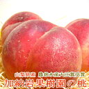 山梨産 加納岩果樹園の桃 約5kg 特大サイズ 12個入り「農林水産大臣賞受賞」かのういわ果樹園|お中元 ギフト プレゼント ピーチ もも モモ 夏ギフト お中...