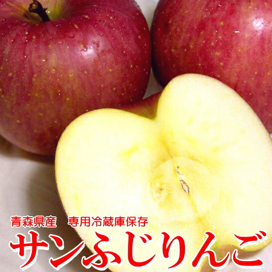 【送料無料】訳あり サンふじリンゴ　約5kg　小玉20〜25個入り「CA貯蔵」青森産※少し色が薄かったり小さなキズがあるワケありりんごです。サン富士　サンフジ わけあり アップル りんご