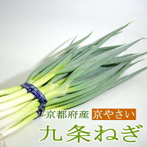 ねぎ　「京野菜」九条ネギ（くじょうねぎ）　12本前後入り　京都産　葱　京のブランド産品　母の日　京やさい