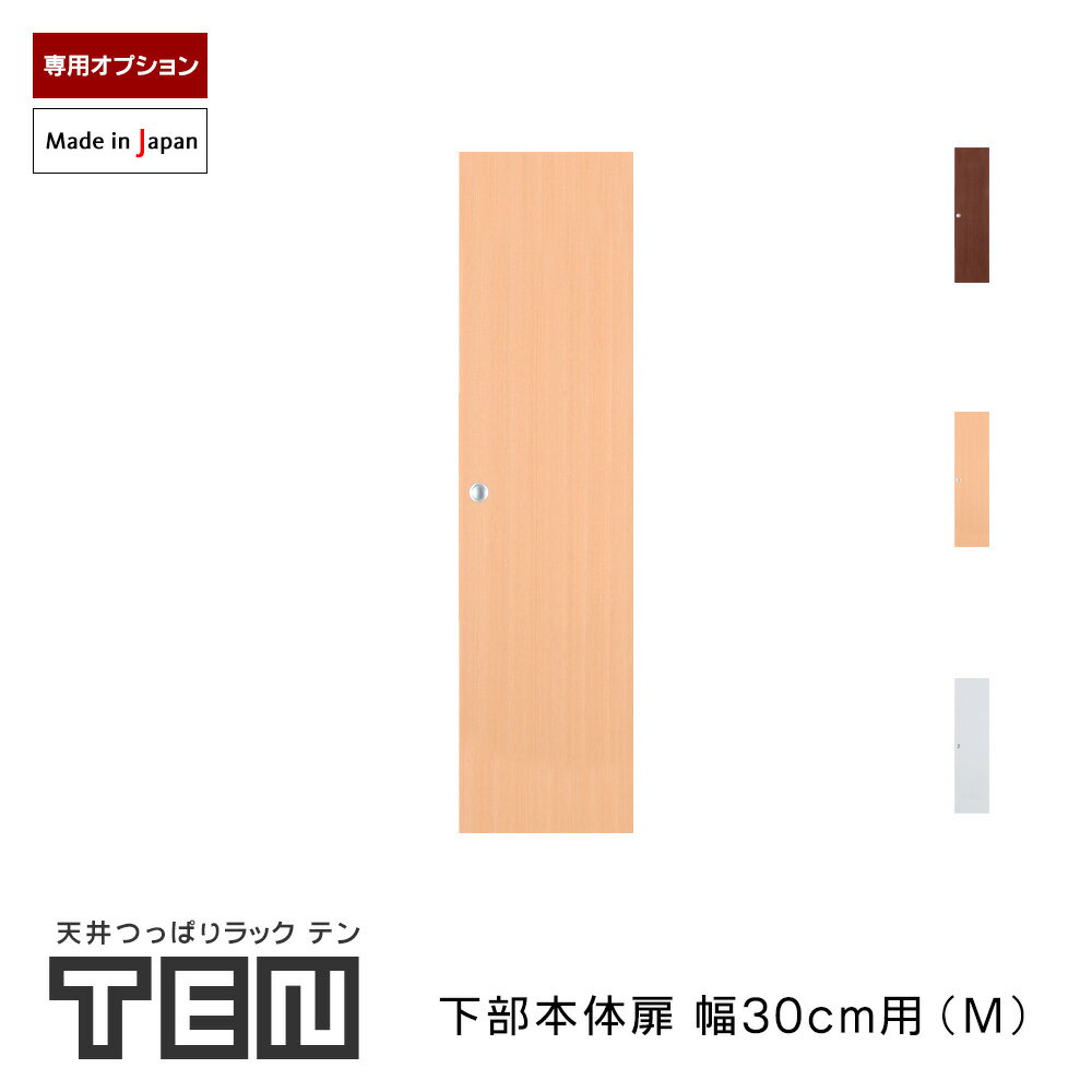 樂天商城 - TEN専用 下部本体用扉 幅30cm Mサイズ 高さ107cm