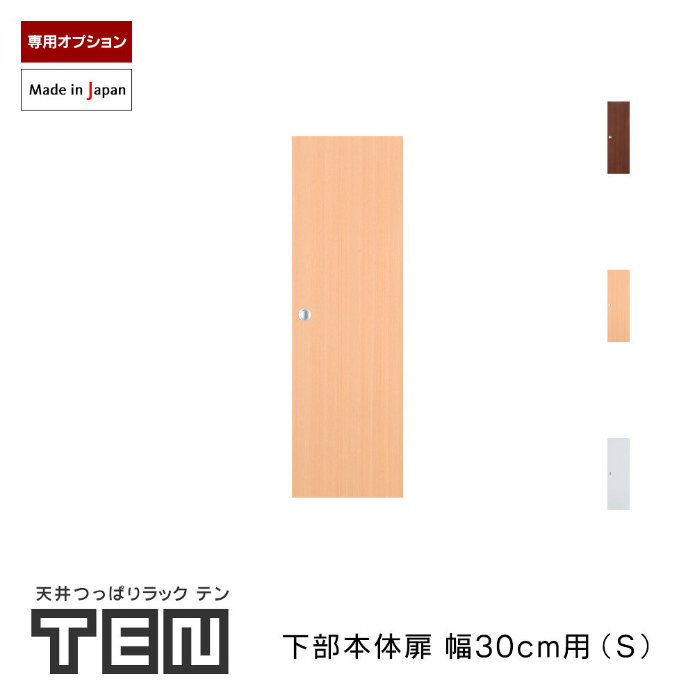 其它 - TEN専用 下部本体用扉 幅30cm Sサイズ 高さ89cm