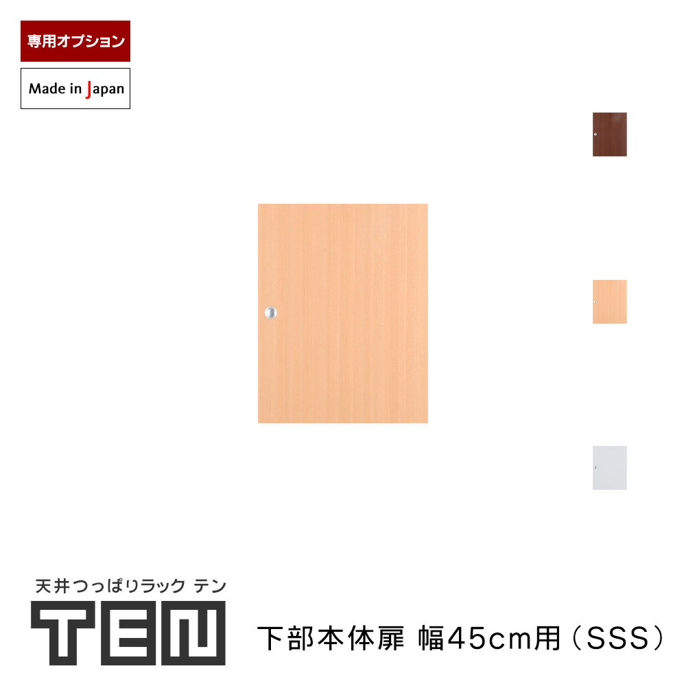 TEN専用 下部本体用扉 幅45cm SSSサイズ 高さ53cm