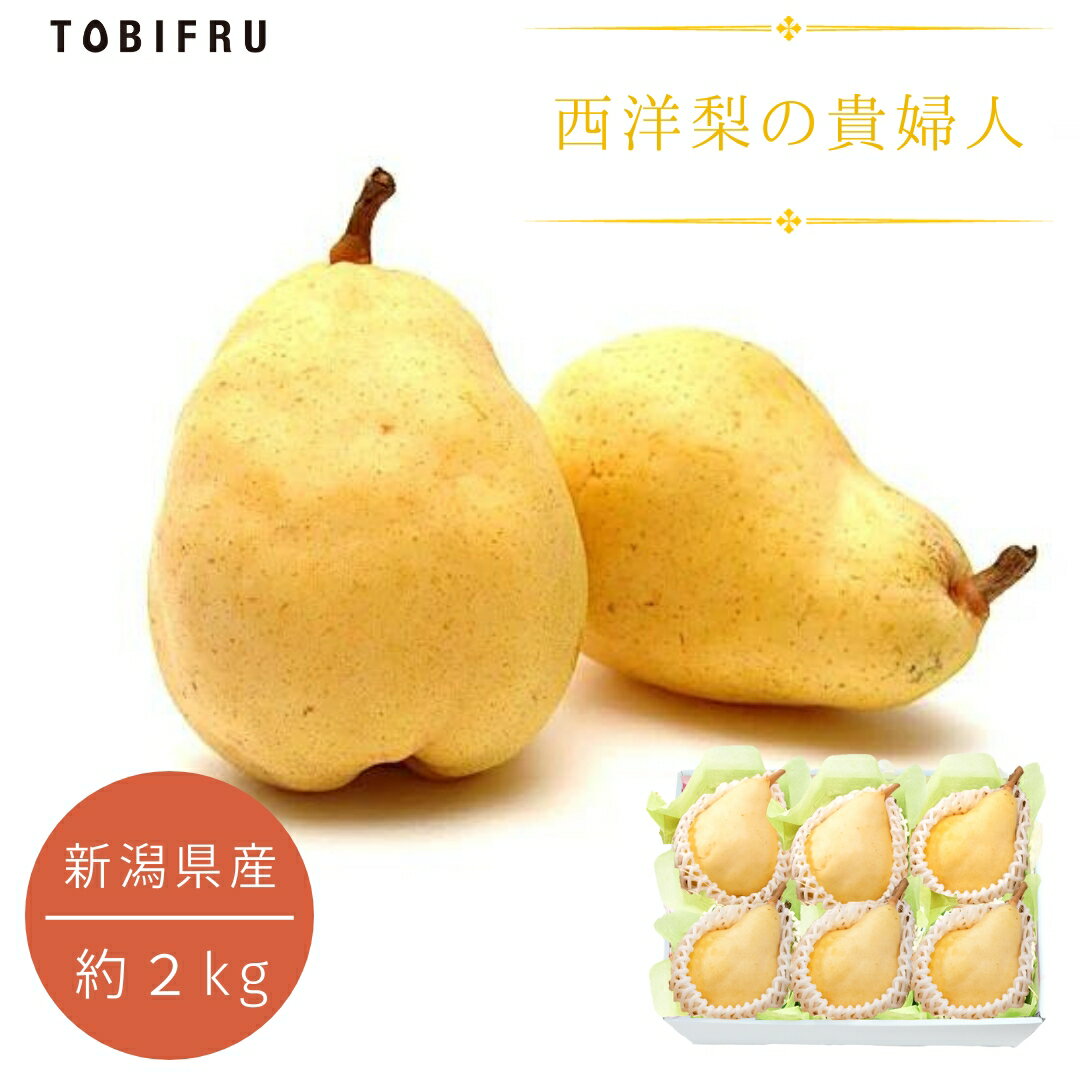 新潟県産 ル・レクチェ (洋梨) 6個入り フルーツ 詰め合わせ セット 果物 プレゼント 贈り物 結婚 出産 お祝い 内祝い お礼 ギフト お歳暮 クリスマス 御年賀のサムネイル