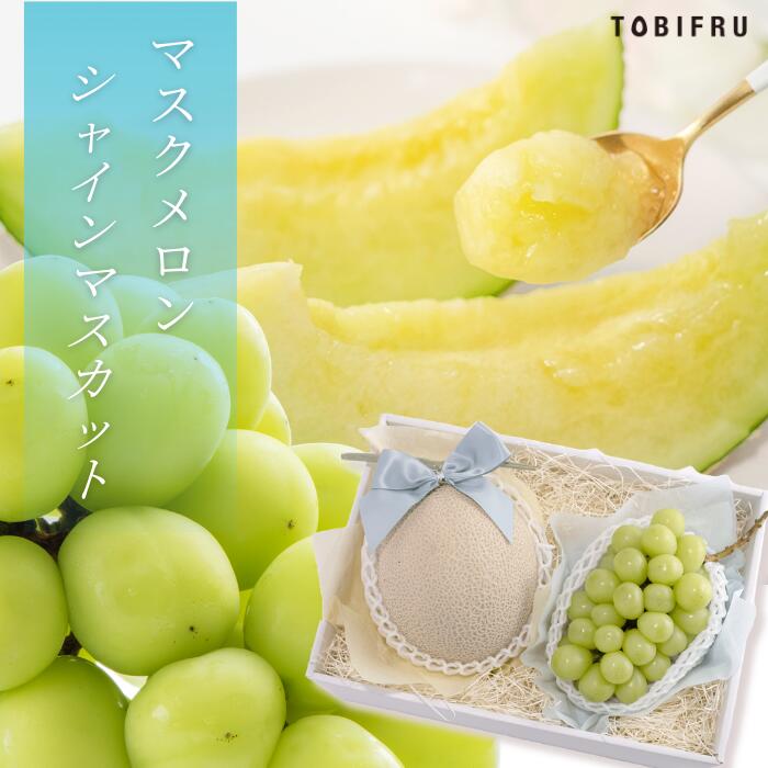 シャインマスカット & マスクメロン 【シャインマスカット マスクメロン ぶどう メロン】 フルーツ ギフト 結婚 出産 内祝 結婚内祝 出産内祝 法事 法要 お供え 快気祝 贈り物 送料無料 プレゼント 手土産 贈答品 贈答用 父の日 夏ギフト お中元 暑中御見舞 誕生日 送料無料