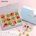 フルーツ宝石箱 さくらんぼ & シャインマスカット 【さくらんぼ ぶどう 種なし】 父の日 フルーツギフト ギフト 結婚 出産 内祝 結婚内祝 出産内祝 法事 法要 お供え 快気祝 プレゼント くだもの 手土産 夏ギフト 暑中見舞い お盆休み お中元 誕生日