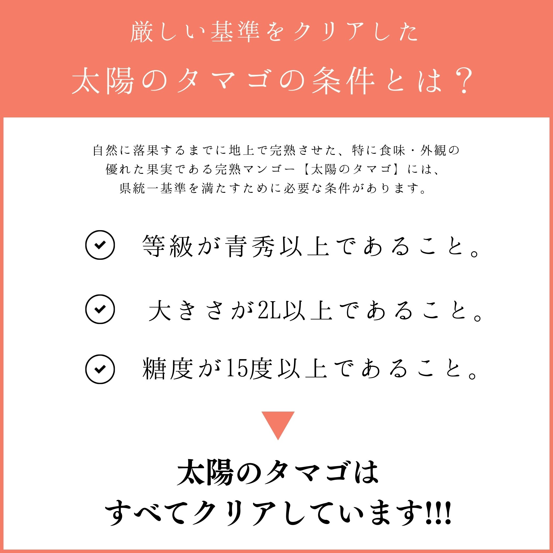 【ふるさと納税】738.【先行予約】【JA】　巨峰（種なし）赤秀2kg箱（3～5房入）　※着日指定不可　※離島への配送不可　※2025年8月初旬頃～8月中旬頃に順次発送予定