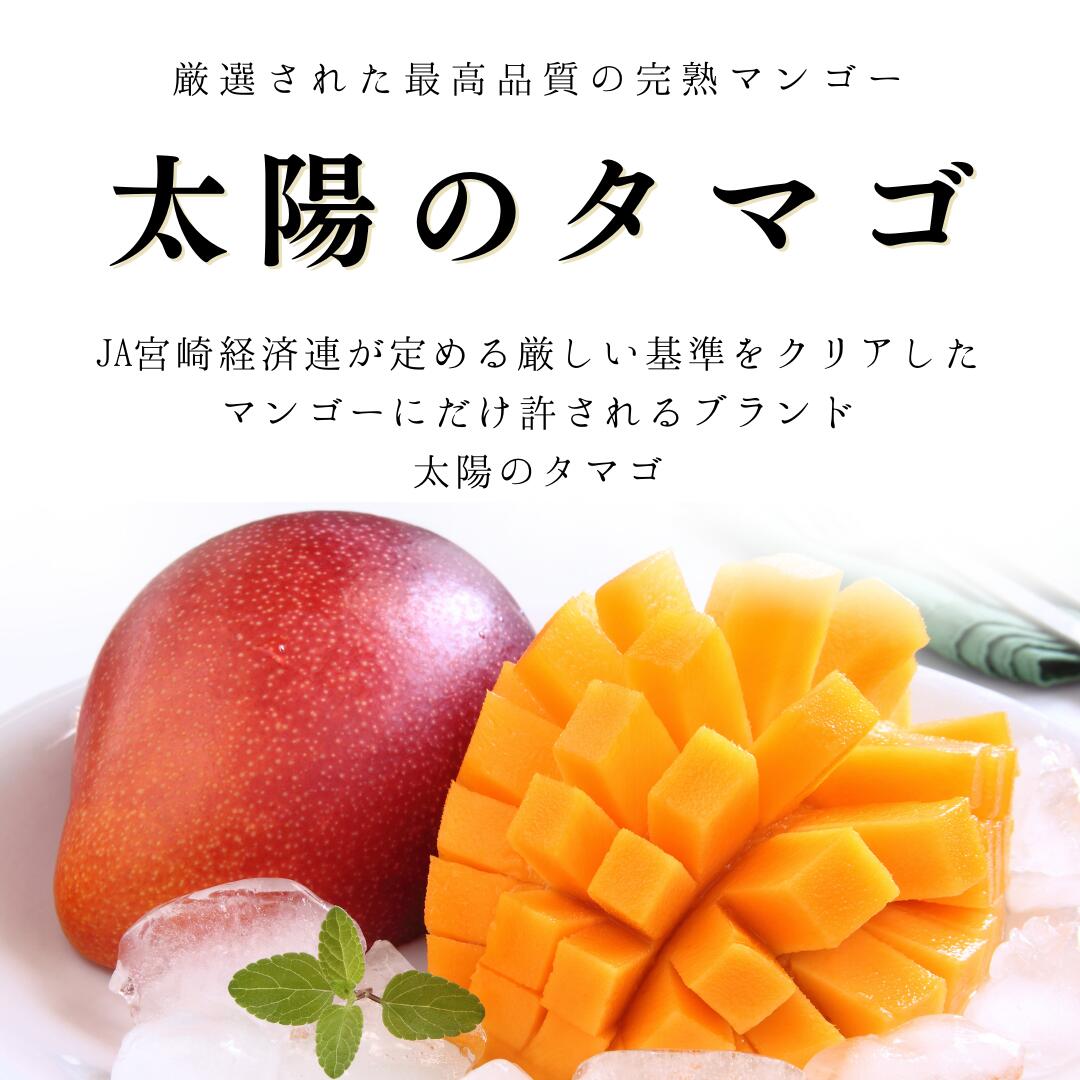 【ふるさと納税】738.【先行予約】【JA】　巨峰（種なし）赤秀2kg箱（3～5房入）　※着日指定不可　※離島への配送不可　※2025年8月初旬頃～8月中旬頃に順次発送予定