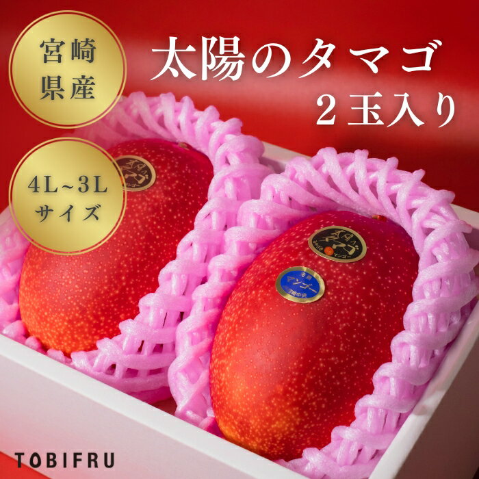【大玉】太陽のタマゴ 宮崎県産 2玉入り【マンゴー】果物 フルーツギフト 夏の贈り物 夏ギフト 暑中見舞い 残暑見舞い お盆休み お中元 ギフト 結婚 出産 お祝い 内祝い 贈り物 送料無料 果物 プレゼント 父の日
