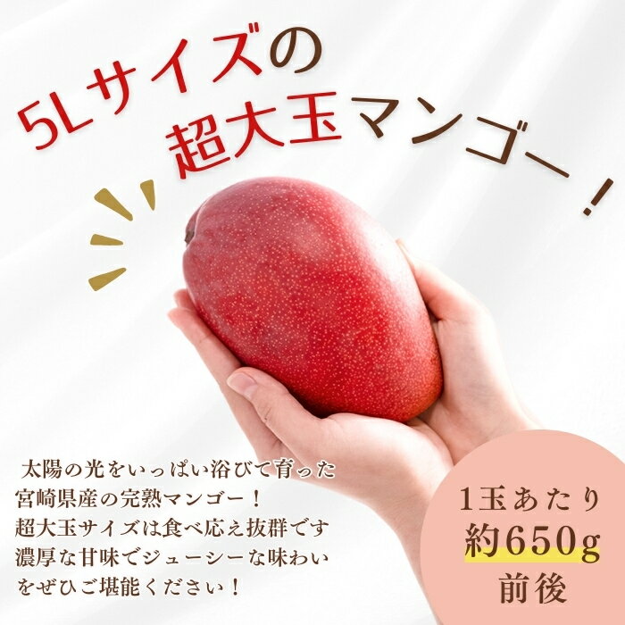 ＜超大玉＞宮崎県産 完熟マンゴー 1玉入り 【マンゴー 5Lサイズ】母の日 父の日 手土産 果物 フルーツギフト 夏ギフト 暑中見舞い 残暑見舞い お盆休み お中元 ギフト 結婚 出産 お祝い 内祝い 贈り物 送料無料 果物 プレゼント