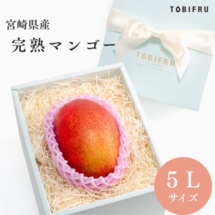楽天TOBIFRU＜超大玉＞宮崎県産 完熟マンゴー 1玉入り 【マンゴー 5Lサイズ】父の日 フルーツギフト ギフト 結婚 出産 内祝 結婚内祝 出産内祝 法事 法要 お供え 快気祝 プレゼント くだもの 手土産 夏ギフト 暑中見舞い お盆休み お中元 誕生日