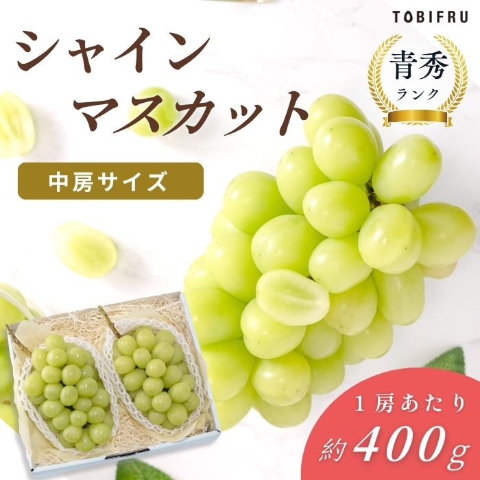 【中房】シャインマスカット 2房入り 1房あたり約400g 父の日 お中元 夏ギフト 敬老の日 フル...