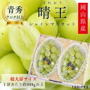【超大房】岡山県産 シャインマスカット晴王 2房入り 【ぶどう マスカット シャインマスカット 青秀品】フルーツ ギフト 結婚 出産 内祝 結婚内祝 出産内祝 法事 法要 お供え 快気祝 贈り物 プレゼント 手土産 贈答品 夏ギフト お中元 暑中御見舞 残暑御見舞 誕生日 送料無料
