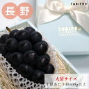 長野県産 ナガノパープル 1房入り 【種なし皮ごと食べれる ぶどう ブドウ 葡萄】フルーツギフト ギフト 結婚 出産 内祝 結婚内祝 出産内祝 法事 法要 お供え 快気祝 贈り物 プレゼント くだもの 手土産 夏ギフト 暑中見舞い 残暑見舞い お盆休み お中元 誕生日 送料無料
