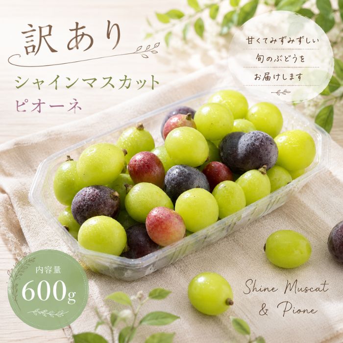 【ご家庭用】訳ありぶどう詰め合わせ （パック） 詰め合わせ 高級フルーツ 不揃い 規格外 果物 自宅用 家庭用 訳アリ 大粒 くだもの 果物