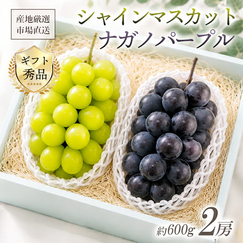 シャインマスカット ＆ ナガノパープル 各1房 秀品【マスカット ぶどう ブドウ 種無し】ギフト フルーツギフト 結婚 出産 内祝 結婚内祝 出産内祝 法事 法要 お供え 快気祝 贈り物 プレゼント くだもの 手土産 暑中見舞い 残暑見舞い お盆休み 誕生日 送料無料