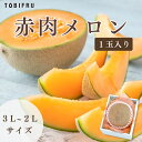 赤肉メロン 1玉入り 【メロン クインシーメロン / レノンメロン / ルピアレッド 】フルーツギフト ギフト 結婚 出産 内祝 結婚内祝 出産内祝 法事 法要...