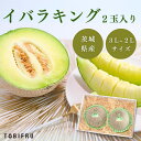 茨城県産 イバラキング 2玉入り 【 青肉メロン 茨城メロン 】フルーツギフト ギフト 結婚 出産 内祝 結婚内祝 出産内祝 法事 法要 お供え 快気祝 贈り物...