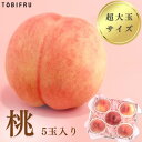 【超大玉】桃5玉入り【もも】夏ギフト お中元 フルーツ ギフト 結婚 出産 内祝 お礼 結婚内祝 出産内祝 法事 法要 お見舞い 退院祝い お供え 快気祝 景品...