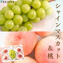 シャインマスカット & 桃 【もも ぶどう】夏ギフト お中元 フルーツ ギフト 結婚 出産 内祝 お礼 結婚内祝 出産内祝 法事 法要 お見舞い 退院祝い お供...