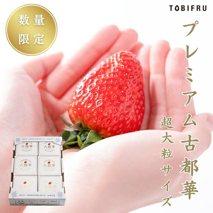 【希少】古都華（ことか）超大粒サイズ 1粒入り×6ケース【奈良県産 いちご 苺 ことか】 果物 フルーツ くだもの 贈り物 プレゼント 内祝 お祝い 卒業 入学 退職 就職 祝い バレンタイン ひな祭り 母の日のサムネイル