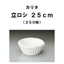 カリタ Kalita 立ロシ 25cm 250枚入 マシン用 コーヒー 器具 珈琲 ロシ コーヒーフィルター ペーパーフィルター フィルター
