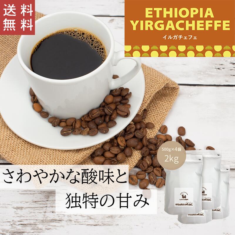 【 送料無料 】 イルガチェフェ 2kg (500g×4袋)【豆・粉選べます】エチオピア コーヒー コーヒー豆 珈琲 ダートコーヒー ストレート 透明感 フルーティー 柑橘系 さわやかな酸味 甘味 ハンドドリップ ペーパードリップ フレンチプレス 水出しコーヒー