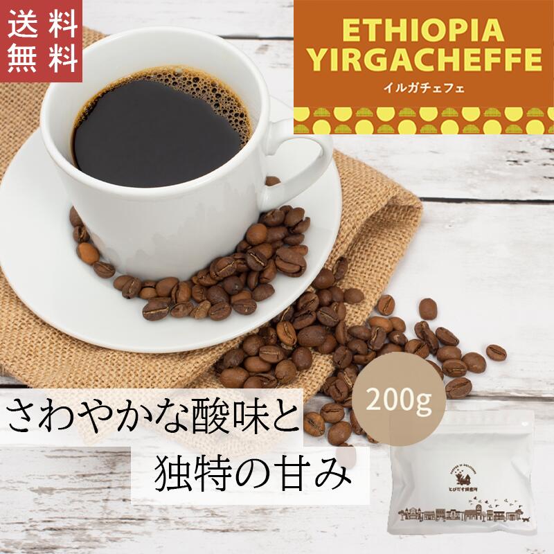 イルガチェフェ 200g【豆・粉選べます】エチオピア コーヒー コーヒー豆 珈琲 ダートコーヒー ストレート 透明感 フルーティー 柑橘系 さわやかな酸味 甘味 ハンドドリップ ペーパードリップ フレンチプレス 水出しコーヒー【送料無料】