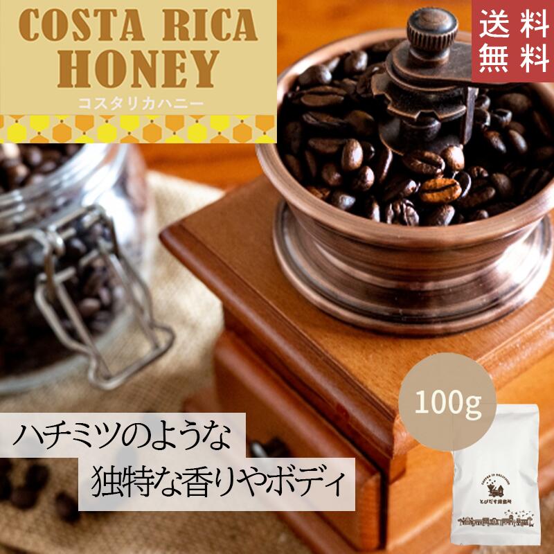 【 送料無料 】 コスタリカハニー 100g【豆・粉選べます】コスタリカ コーヒー コーヒー豆 珈琲 ダートコーヒー ハニープロセス ストレ..