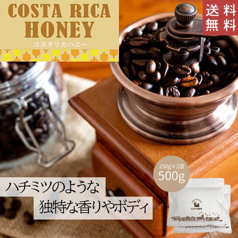 【 送料無料 】 コスタリカハニー 500g (250g×2袋)【豆・粉選べます】コスタリカ コーヒー コーヒー豆 珈琲 ダートコーヒー ハニープロ..